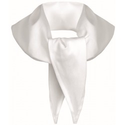 Pañuelo PICO de COCINA Blanco PC-608, Plazo 10 días