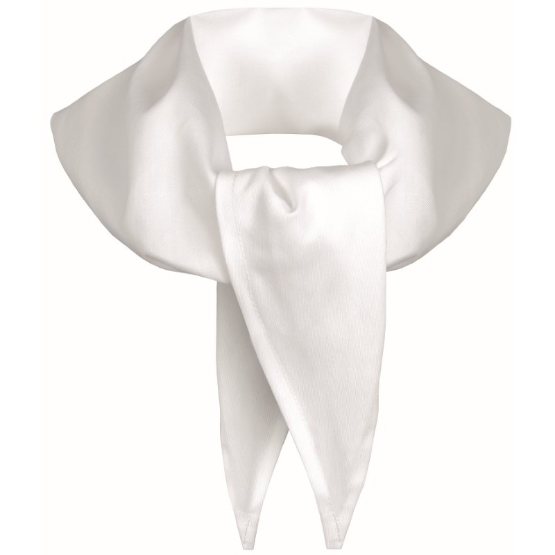 Pañuelo PICO de COCINA Blanco PC-608, Plazo 10 días