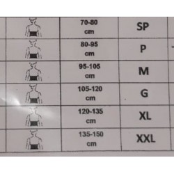 Cinturón antilumbago elástico con velcro PPWB-100 2
