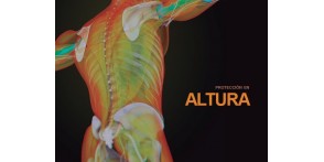 Equipos de protección trabajos en altura | ITURRI